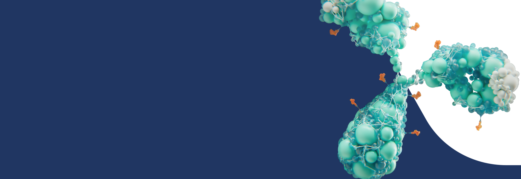 gallery-banner-image-1